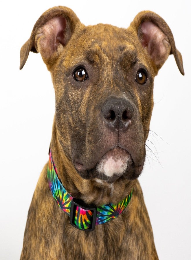 كانتري بروك ديزاين طوق الكلاب الفاخر العريض من كاونتري بروك بيتز - هوسفيت جونيور - مجموعة رائعة تتميز بتصاميم مميزة (خطوط مصبوغة بربطة عنق، متوسط) - Image 2